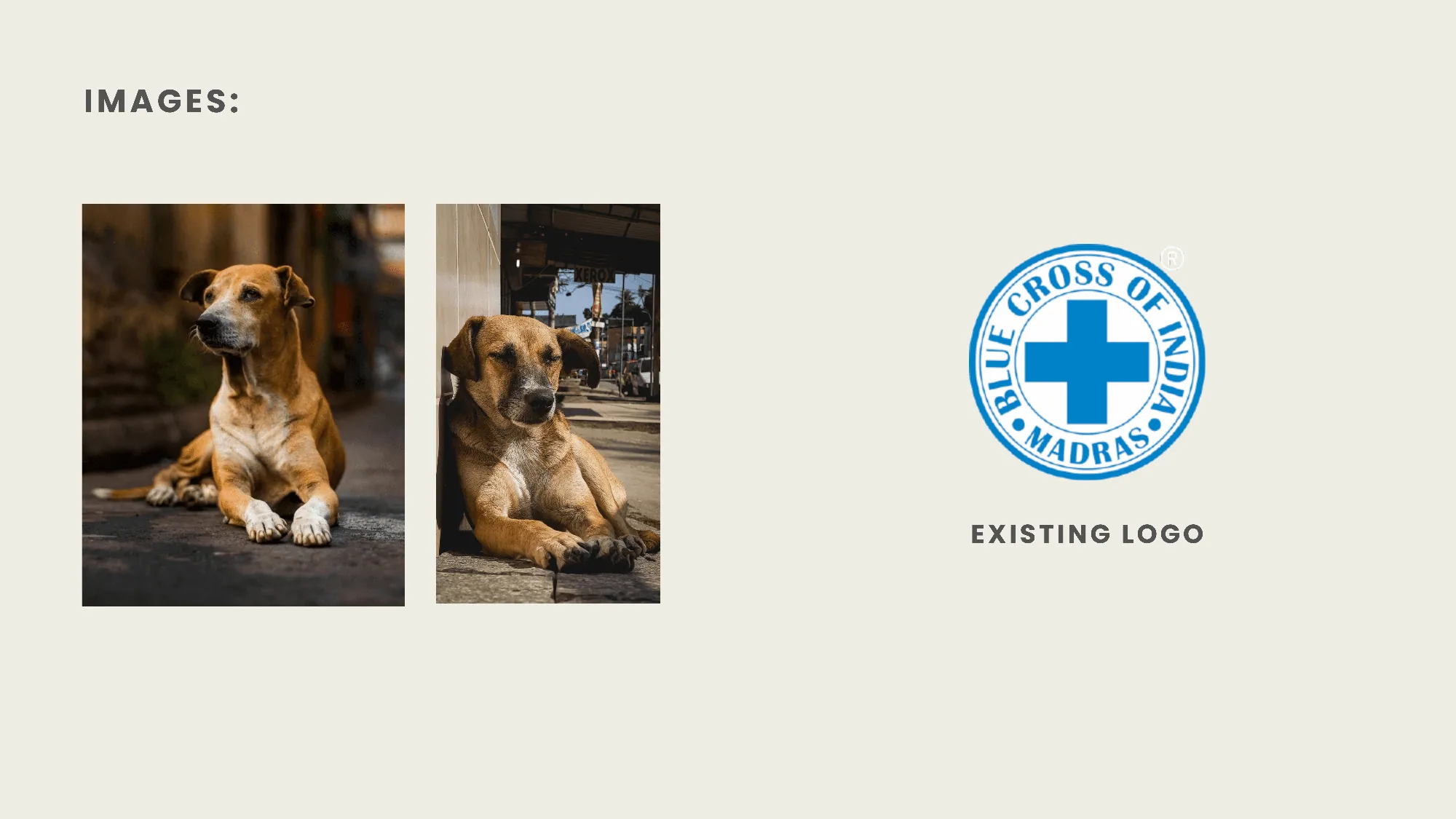 Blue Cross adoption flyer, image 1