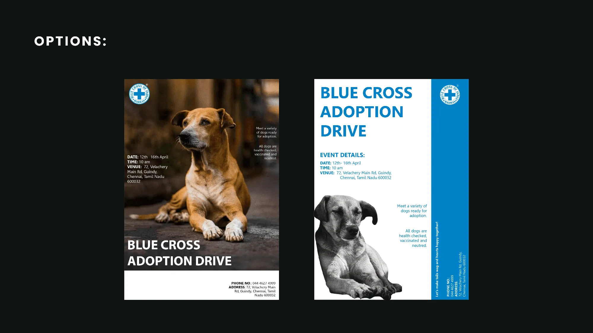 Blue Cross adoption flyer, image 3