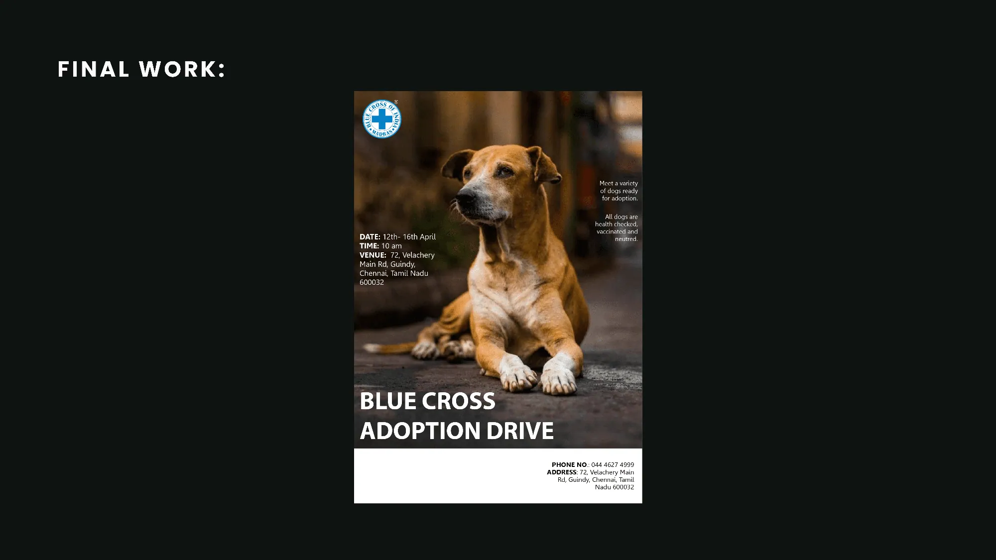 Blue Cross adoption flyer, image 4