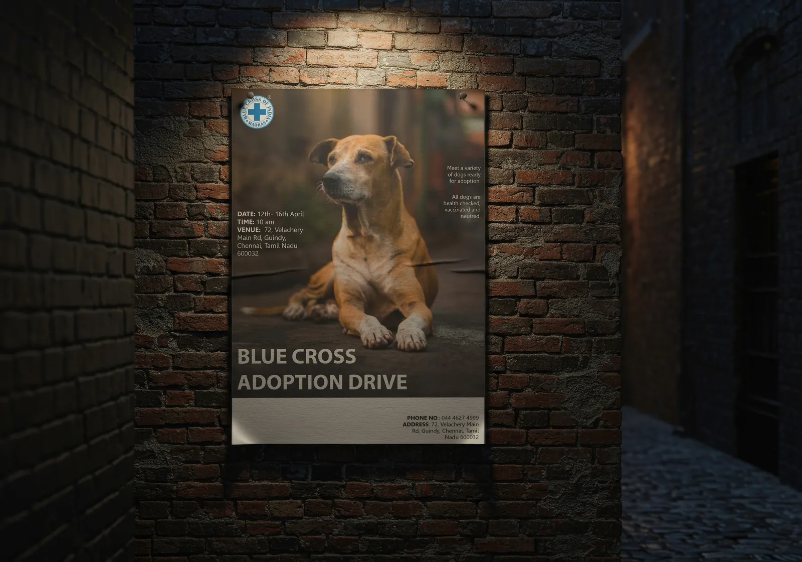 Blue Cross adoption drive poster on a brick wall